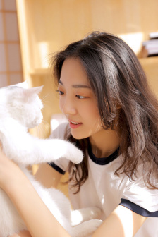 新亮剑mp4下载